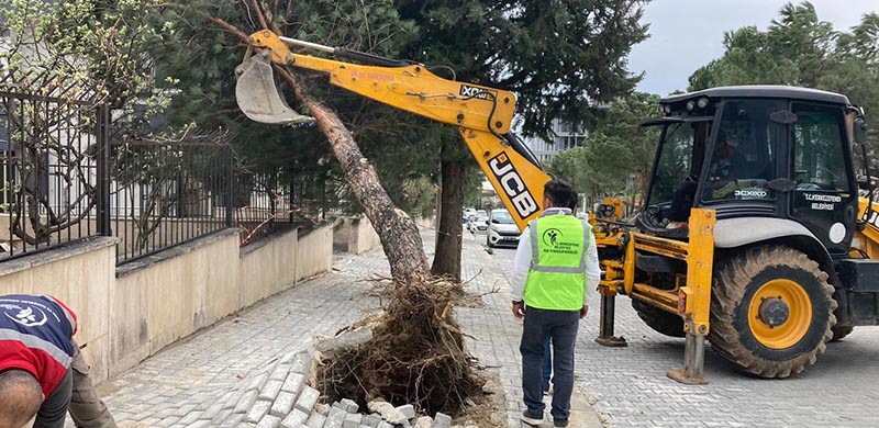 Denizli'de fırtına etkili oldu