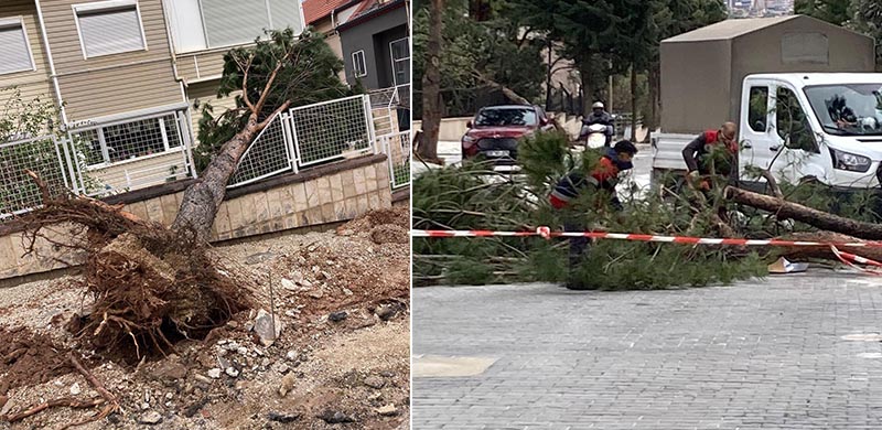Denizli'de fırtına etkili oldu