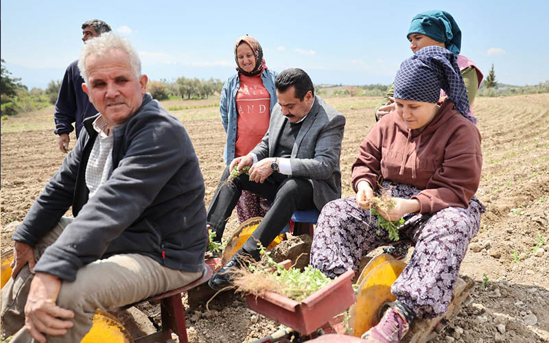 İşçilerle bir araya gelen Ertemur, kekik dikti