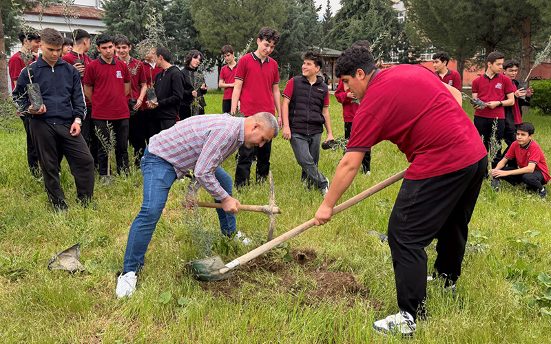 Öğrencilerin biriktirdiği atıklar, okul bahçesinde zeytin fidanı oldu
