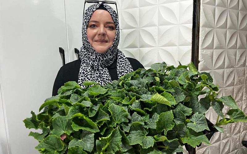 Fide satışları arttı