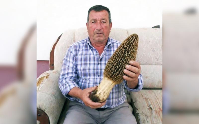 Dev kuzu göbeği: 1 kilo 850 gram geldi