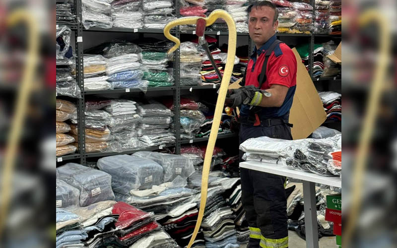 İşyerinde iki metrelik yılan paniği