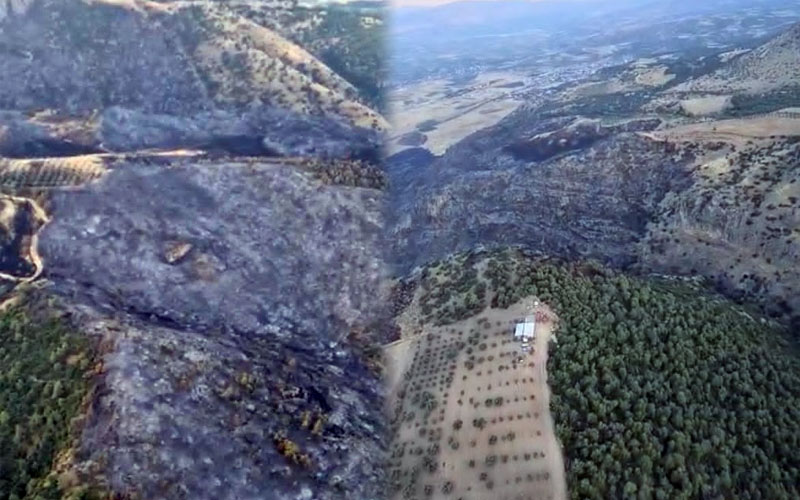 Pamukkale’deki orman yangını kontrol altına alındı