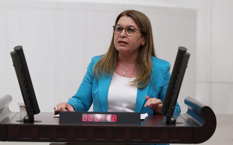 Karaca: Trump, Denizli’nin yanık kokulu yoğurdunu yedi ek vergiyle dost kazığı attı