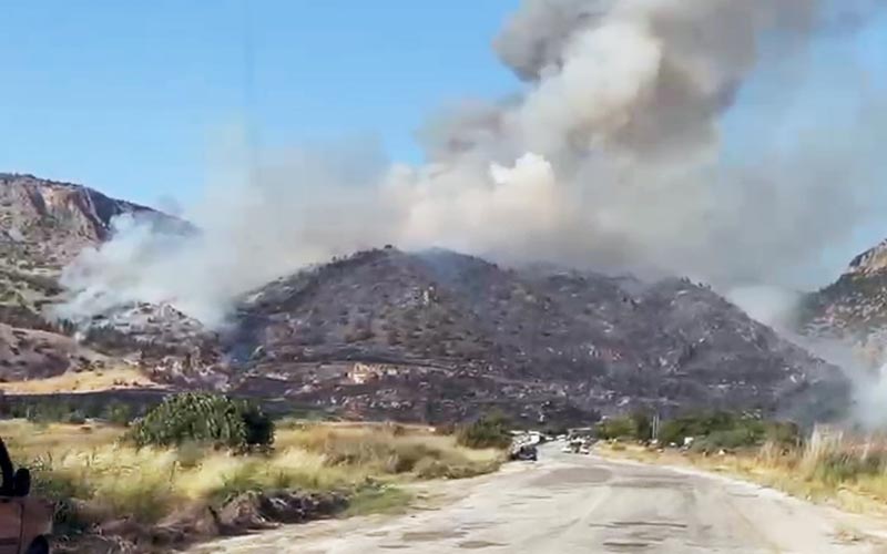 Pamukkale’de orman yangını