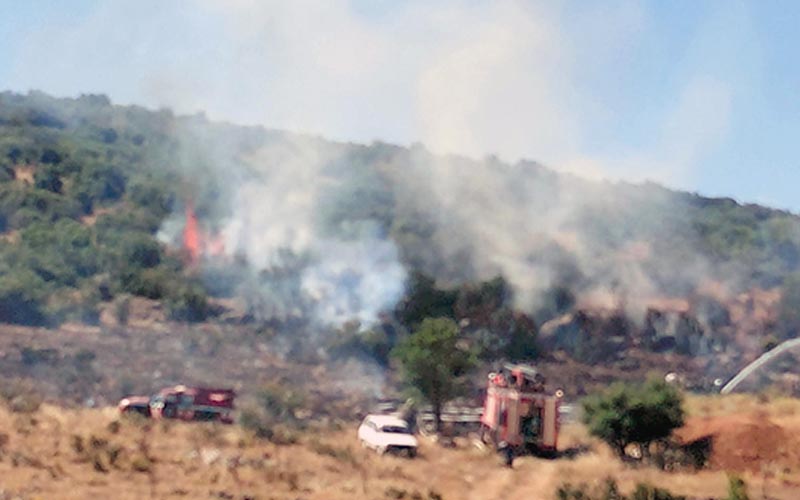 Yangında 15 dekar makilik alan zarar gördü