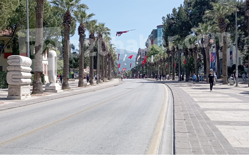 Soru: Palmiyeler mi, gölge yapacak ağaç mı?