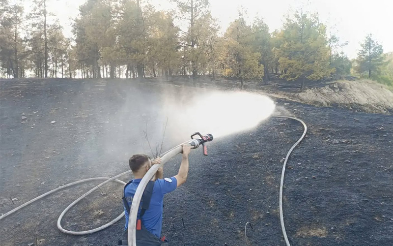 Ormanlık alanda yangın çıktı: Çok sayıda ekip sevk edildi