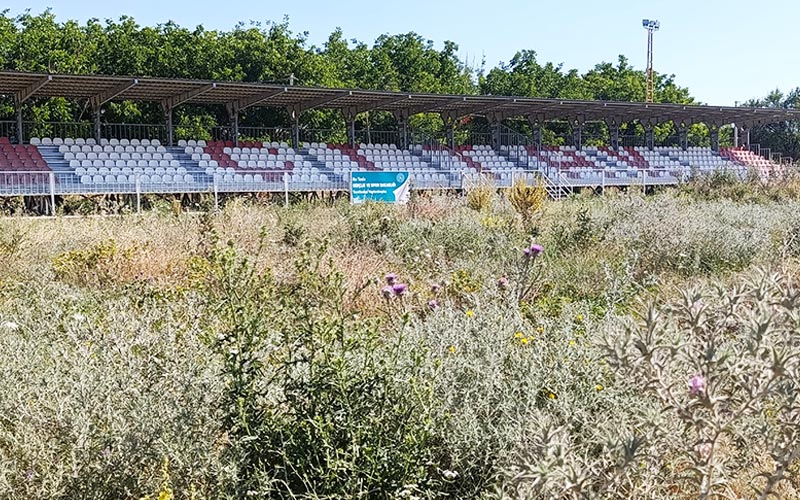 Futbol sahasını dikenler kapladı, yöneticiler seyrediyor