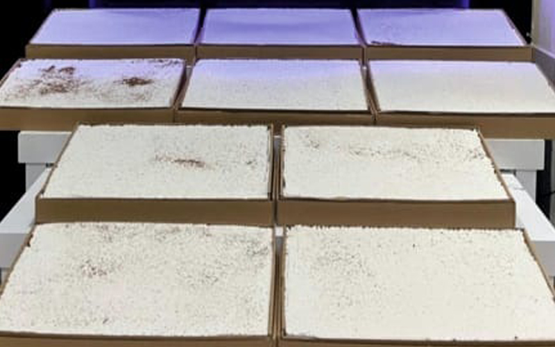 On binlerce sarma sigara ele geçirildi, 2 kişi tutuklandı