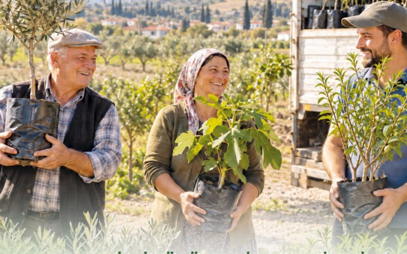 Büyükşehir’den zeytin, incir ve badem fidanı desteği
