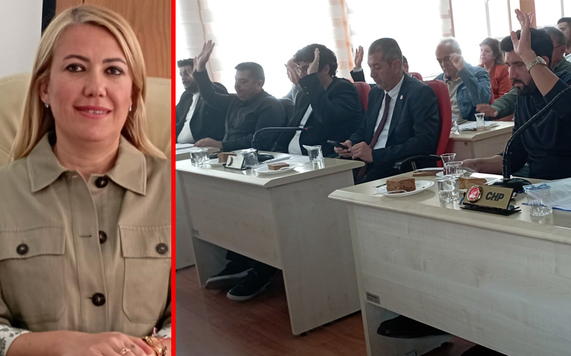 Merkezefendi Belediye bütçesi 4 milyar 650 milyon lira