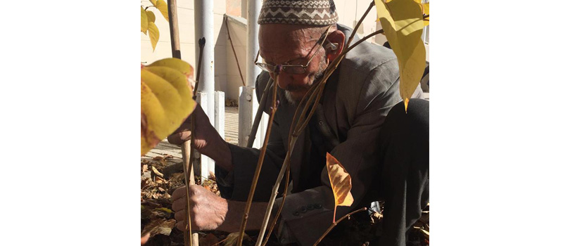Süleyman Dede 105 yaşında ama hala çakı gibi